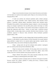 Pinigų funkcijos ir jų istorinė raida 2 puslapis