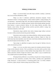 Pinigų funkcijos ir jų istorinė raida 13 puslapis