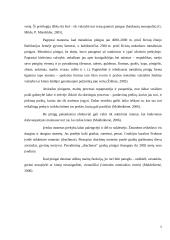 Pinigų funkcijos ir jų istorinė raida 5 puslapis