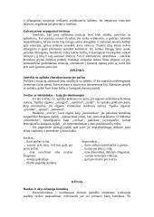 Pirmasis įspūdis ir jo svarba 4 puslapis