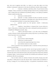 Platono "Valstybė" 4 puslapis