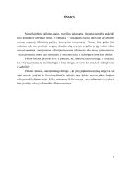 Platono "Valstybė" 8 puslapis