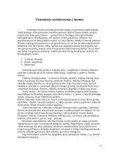 Trumpai apie Platoną ir jo principus 5 puslapis