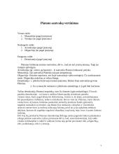 Trumpai apie Platoną ir jo principus 6 puslapis