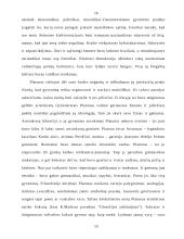 Platonas ir jo valstybė 10 puslapis