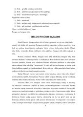 Platonas. Platono sielos teorija 8 puslapis