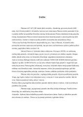 Platono ir Aristotelio būties sampratų palyginimas 2 puslapis