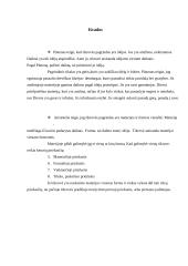 Platono ir Aristotelio būties sampratų palyginimas 11 puslapis