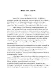 Platono ir Aristotelio būties sampratų palyginimas 3 puslapis