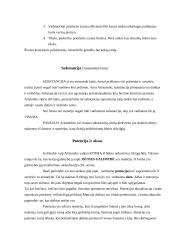 Platono ir Aristotelio būties sampratų palyginimas 9 puslapis