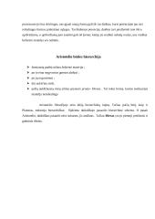 Platono ir Aristotelio būties sampratų palyginimas 10 puslapis