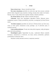 Platono valstybė kaip "idėja" 2 puslapis