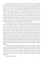 Policijos pareigūno teisės ir pareigos sulaikius neblaivų nepilnametį 6 puslapis