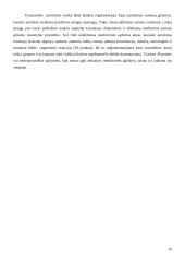 Policijos pareigūno teisės ir pareigos sulaikius neblaivų nepilnametį 10 puslapis