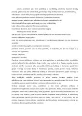 Policijos patrulio veiksmai, sulaikant asmenį, įsilaužusį į butą 7 puslapis