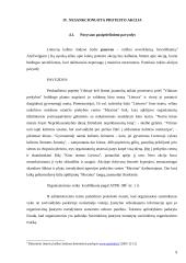 Policijos taktika 9 puslapis