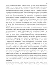 Politinio teisingumo principai Platono "Valstybėje" 3 puslapis