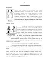 Poza. Kūno orientacija. Eisena. Stovėsena 9 puslapis