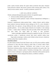 Prekių mokslas: audiniai 7 puslapis