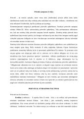 Prievolės samprata ir jos rūšys 2 puslapis