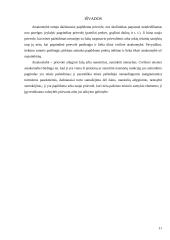 Prievolių įvykdymas ir prievolių neįvykdymo teisinės pasekmės 11 puslapis