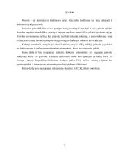 Teisinių prievolių įvykdymo užtikrinimo būdai 2 puslapis