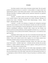 Teisinių prievolių įvykdymo užtikrinimo būdai 11 puslapis