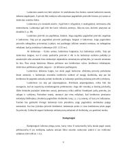 Teisinių prievolių įvykdymo užtikrinimo būdai 6 puslapis