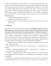 Prievolių įvykdymo užtikrinimo priemonės 11 puslapis