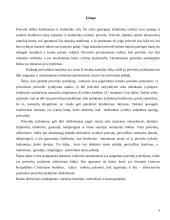 Prievolių įvykdymo užtikrinimo priemonės 3 puslapis