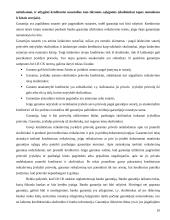 Prievolių įvykdymo užtikrinimo priemonės 10 puslapis