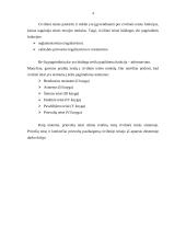 Prievolių pasibaigimas civilinėje teisėje 4 puslapis