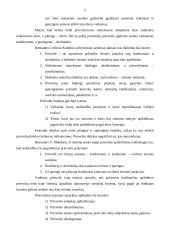 Prievolių teisė civilinėje teisėje 5 puslapis