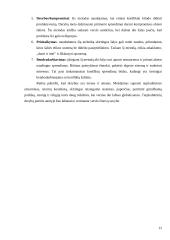 Problemos ir jų sprendimas tarpkultūriniame bendravime 12 puslapis
