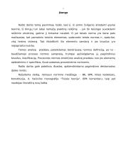 Proceso normų struktūra 2 puslapis