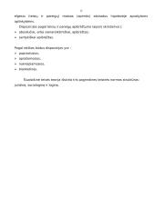 Proceso normų struktūra 13 puslapis