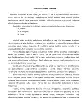 Proceso normų struktūra 10 puslapis