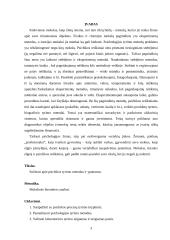 Psichikos tyrimo ypatumai. Trumpa tyrimo metodų charakteristika 3 puslapis