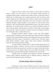 Psichinė įtampa. Jos priežastys ir pasekmės 2 puslapis