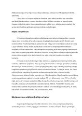 Psichoanalizė ir kultūros kilmės aiškinimas 7 puslapis