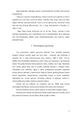 Psichologiniai tipai 3 puslapis