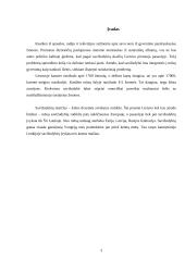 Reabilitacijos ir normalizacijos problema Lietuvoje ir pasaulyje savižudybių atžvilgiu 2 puslapis