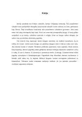 Rytų išminčių takais 2 puslapis