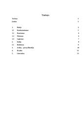 Rytų išminčių takais 12 puslapis