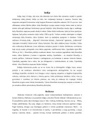 Rytų išminčių takais 6 puslapis