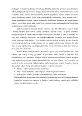 Rytų išminčių takais 7 puslapis