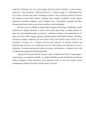 Rytų išminčių takais 9 puslapis