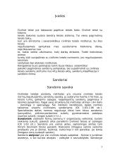 Teisės sandoriai 3 puslapis