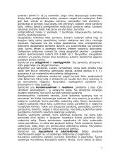 Teisės sandoriai 5 puslapis