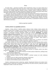 Sandorių negaliojimo pagrindai 2 puslapis